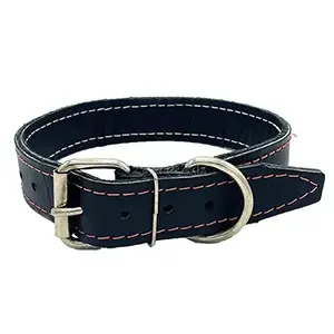 Collier pour chien en cuir, Grand chien, 70cm