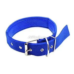 Collier pour chien en skaï  et en tissu, Chien moyen, Jush, 70cm