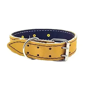 Collier pour chien en cuir à pique, Grand chien, 63cm