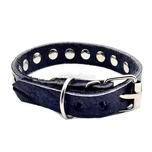 Collier pour chien en cuir à pique, Petit chien, 38 cm