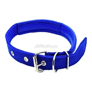 Collier pour chien en sky et tissu, Chien moyen, Pet Supplies, 59cm