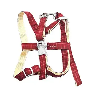 Harnais et laisse pour chien en tissu, Petit chien, AD, Laisse 120cm