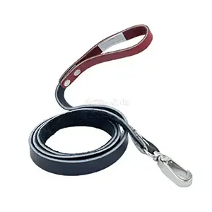 Laisse pour chien en cuir, 1,32m